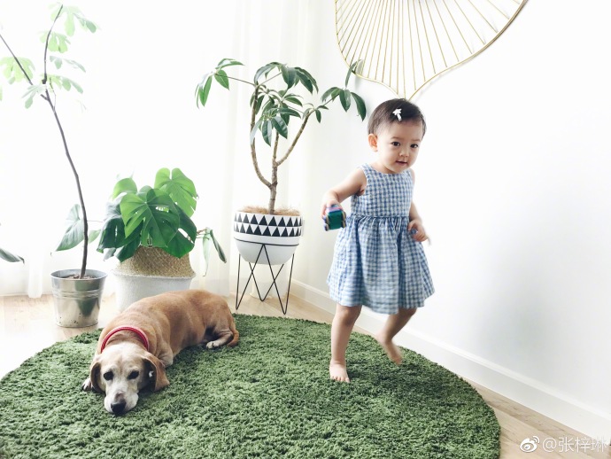 萌娃拍照怎么拍出高级感,拍摄萌娃技巧有哪些