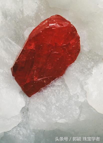 愚人节的愚是什么含义,愚人节不想被愚的文案