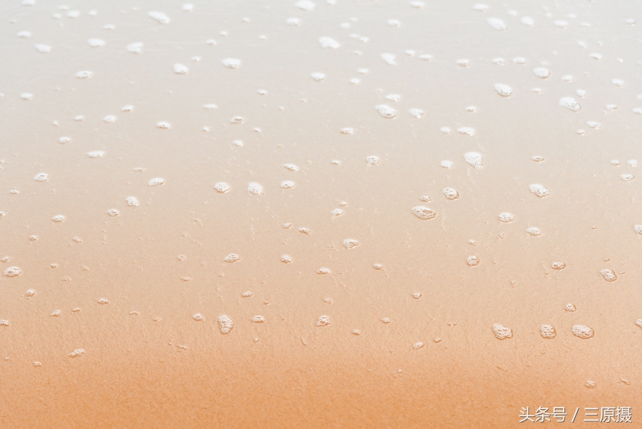 赏过花、看过海这个春天才完美，被人遗忘的官湖角正等着你的脚印