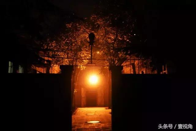 石家庄哪的公园樱花开了,石家庄樱花现在还有吗