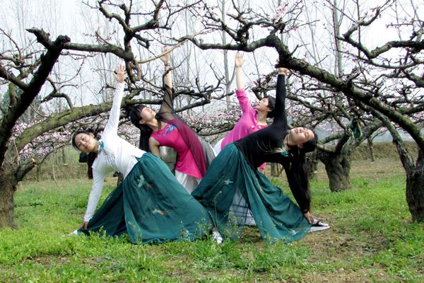 桃花深处赏桃花,桃花坞里桃花庵