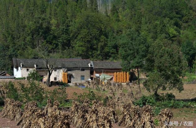 如今的农村该怎样进行发展呢,以后的农村会怎样发展趋势