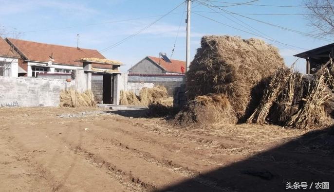 如今的农村该怎样进行发展呢,以后的农村会怎样发展趋势