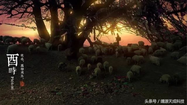 十二时辰怎样理解,十二时辰那些事