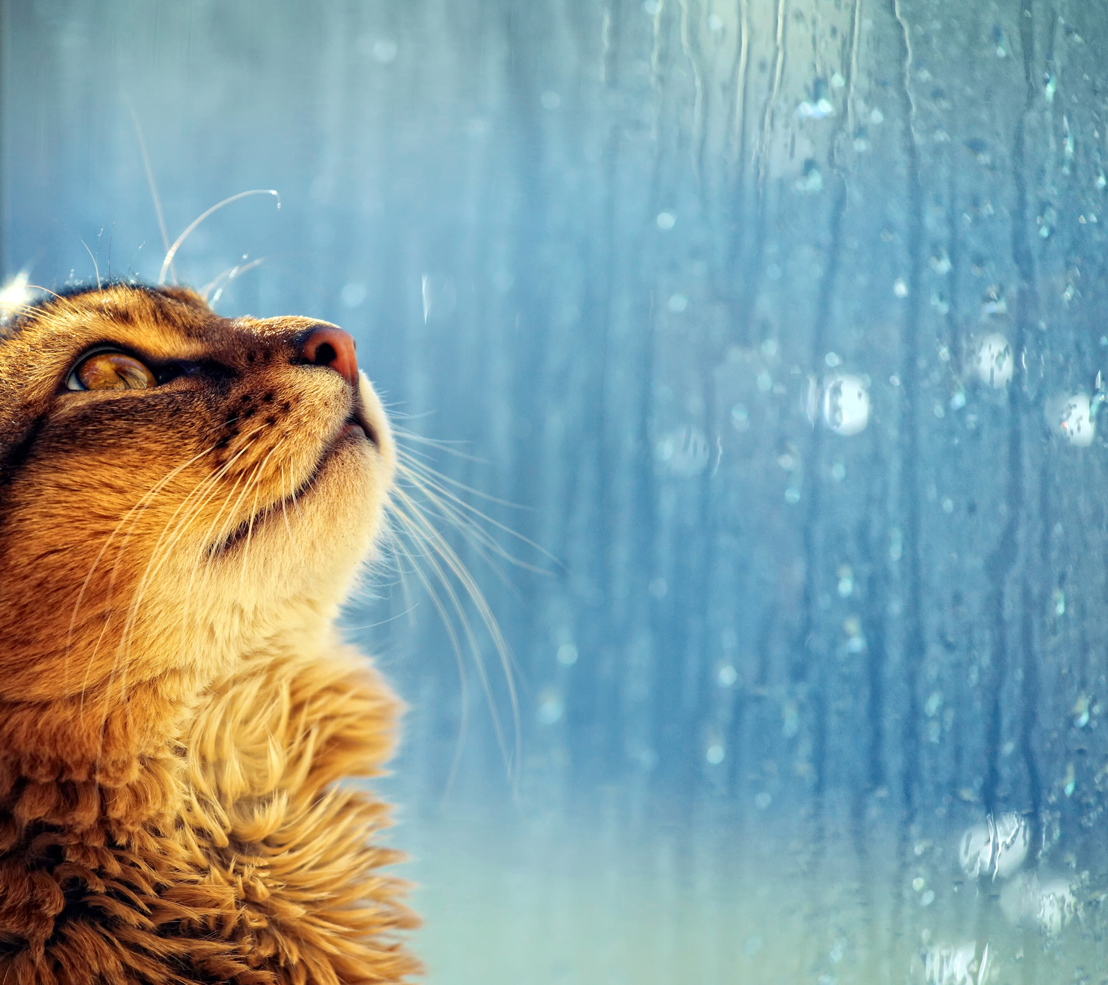 趣味测试测你是不是正常人,趣味测试你未来会跟谁结婚