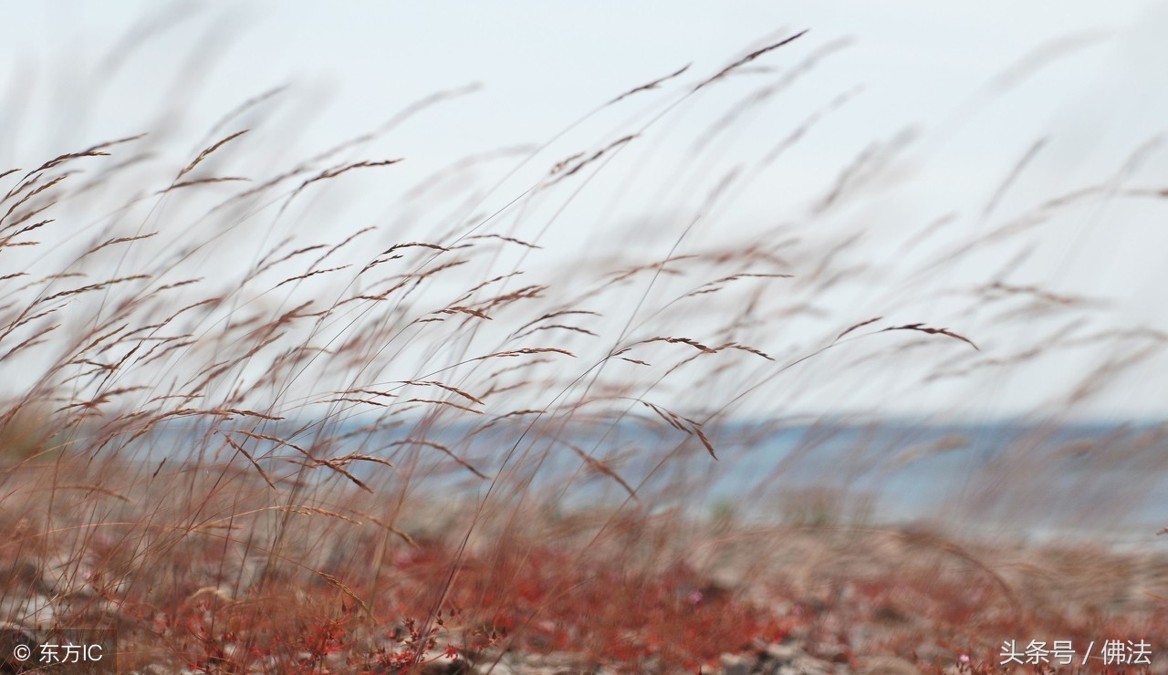 佛教对风水有什么看法,佛教怎样看待命相