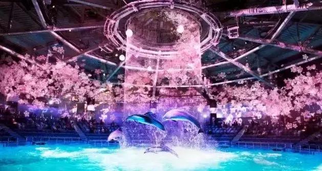 最美樱花限定来袭,少女心爆棚100%...