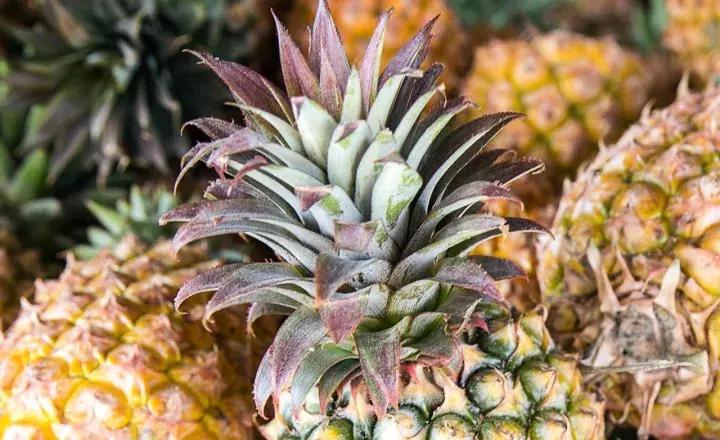 茶浪嘿古法奶茶,茶浪