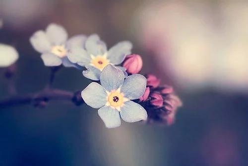 《错误》:梦里相思，酒后遣怀。