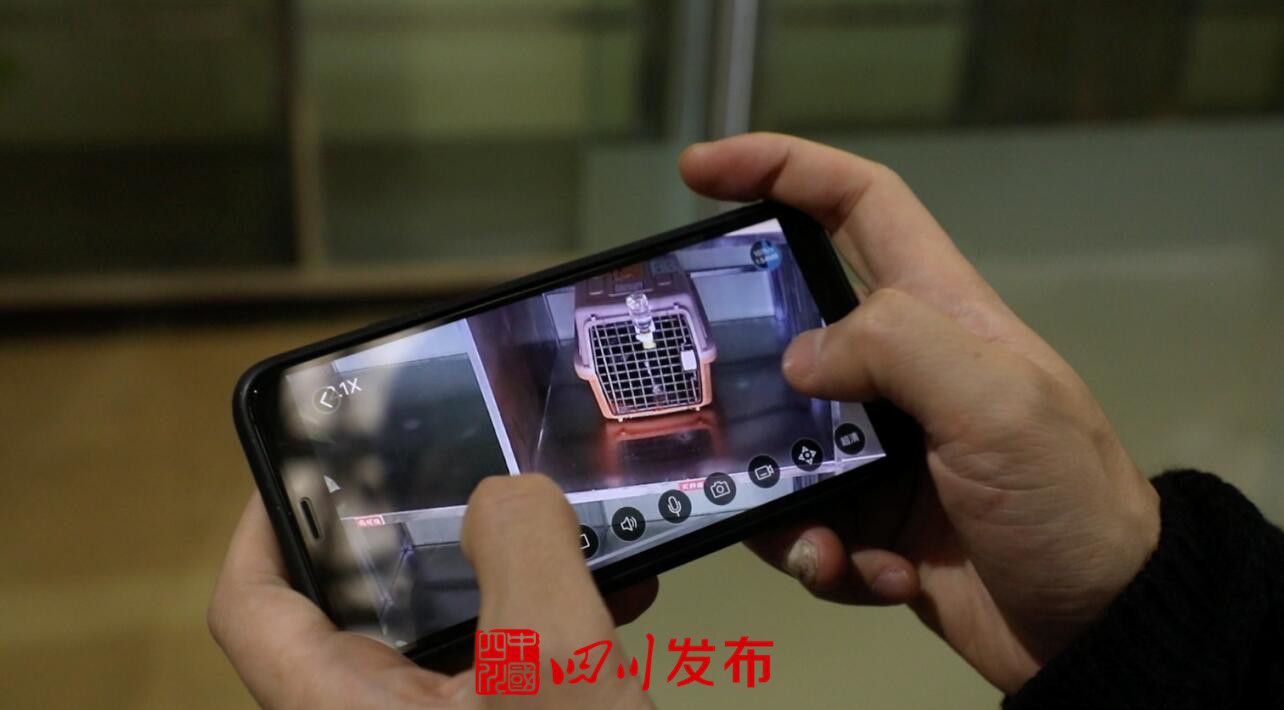 川航宠物机票,川航宠物托运怎么预订