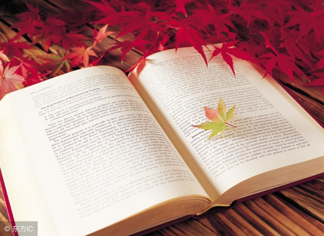 别人说读书读傻了怎么回,读书都读傻了怎么回事