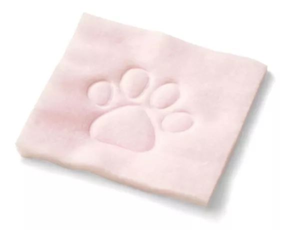 放开我的钱包啊！令猫奴闻风丧胆的种草大会！