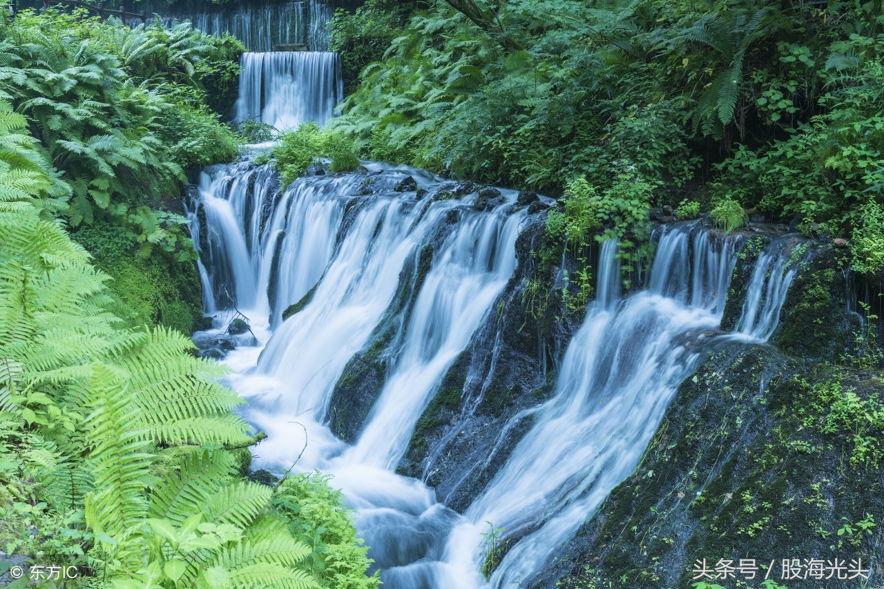 短线强势个股午评,短线尾盘选强势板块
