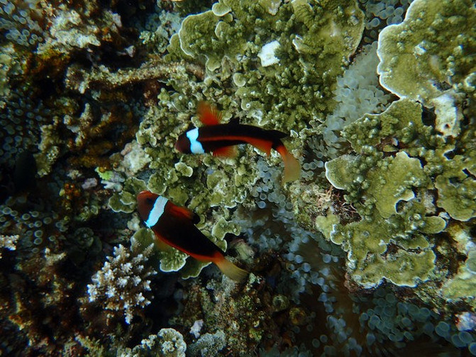 和闺蜜一起去水上世界,闺蜜一起游东湖公园