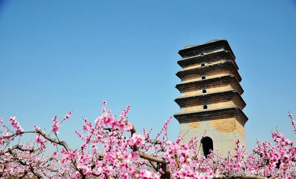 西安十大赏花地,西安雁塔3月赏花地方推荐