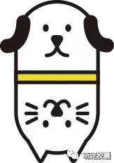 【V-story】做一名宠物医师是种怎样的体验?(上)