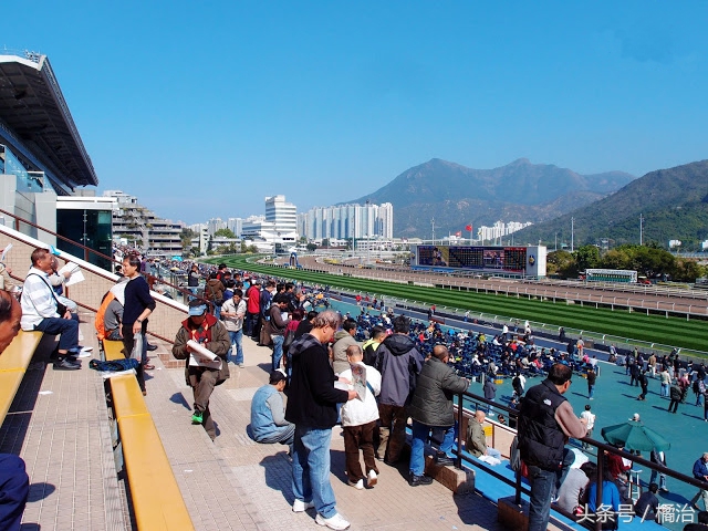 去香港赛马场，买张马票看马儿热血冲刺，超酷！（内含详细攻略）