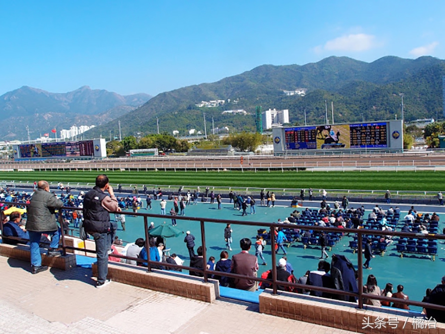去香港赛马场，买张马票看马儿热血冲刺，超酷！（内含详细攻略）