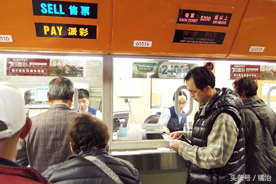 去香港赛马场，买张马票看马儿热血冲刺，超酷！（内含详细攻略）