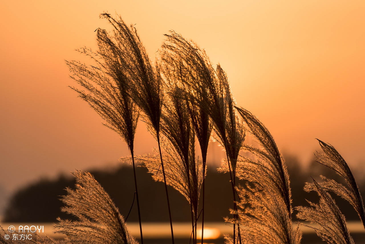 杂集故事含小故事、典故、历史事件、幽默故事、笑话、常识（一）