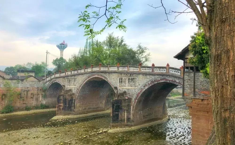 再上5天班，就放小长假！四川哪里*光春**诱人？靠谱实测甩给你