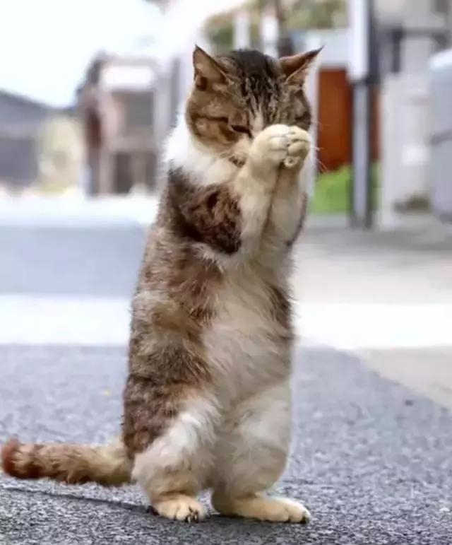 中年女性学玄学,中年妇女喜欢玄学