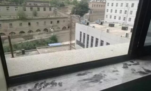 生孩子老公拒绝无痛分娩,妻子顺产疼痛难忍跪求丈夫剖腹产