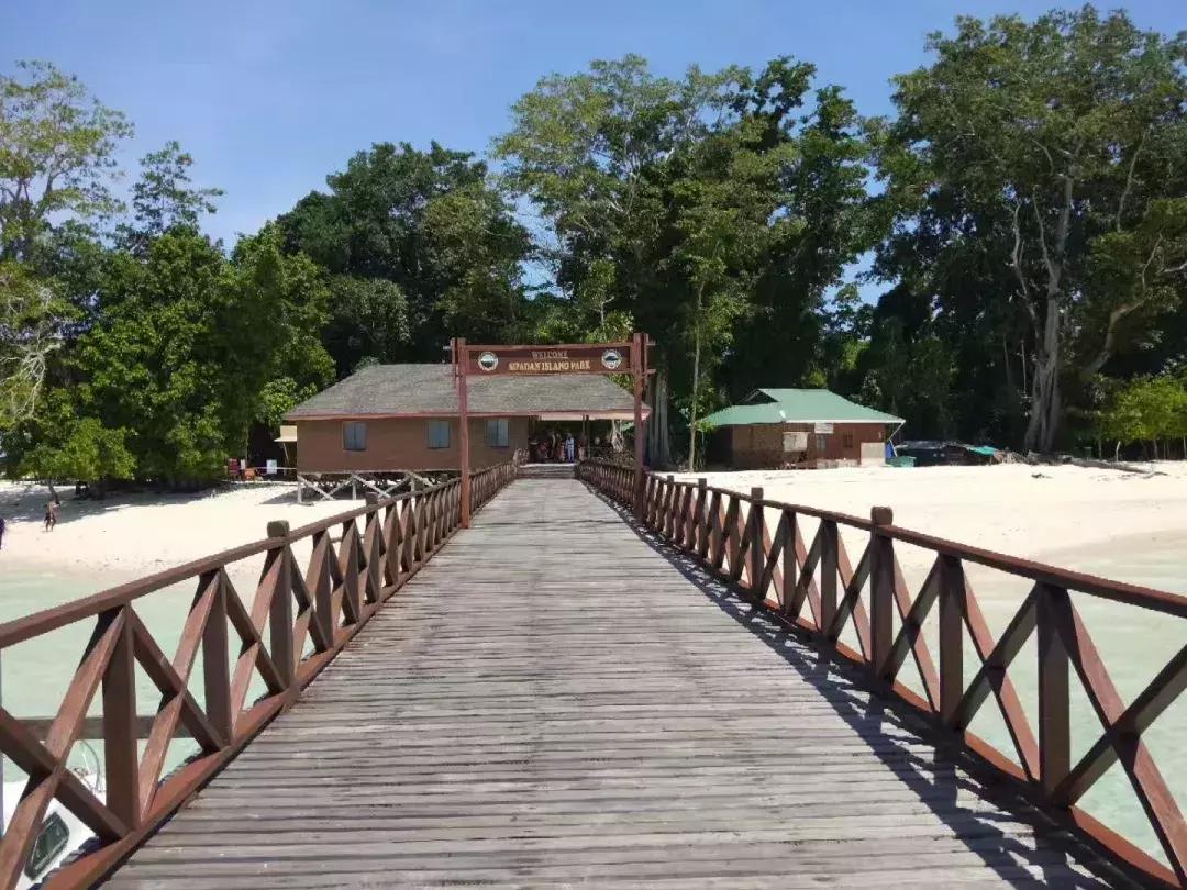 仙本那和印度尼西亚潜水哪个更好,仙本那彩湖潜水度假村多少钱一天