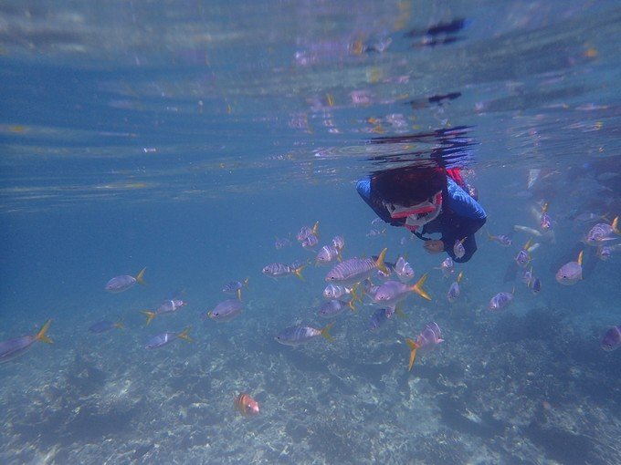 宝贝喜欢小金鱼,宝贝喜欢玩水