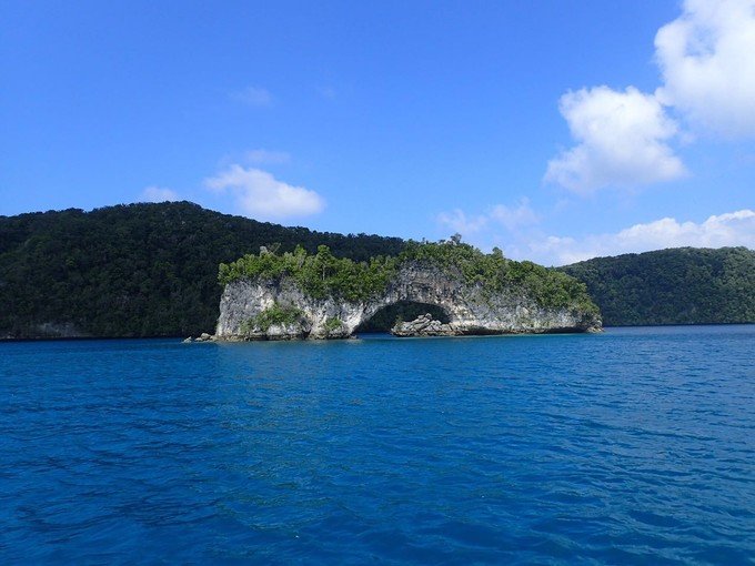 宝贝喜欢小金鱼,宝贝喜欢玩水