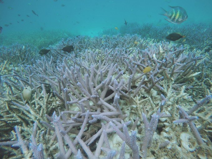 很少人知道的海岛国家！帕劳