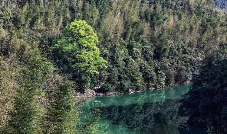 媲美九寨沟的碧湖潭，被誉为萍乡小三峡，是不可错过的世外仙境