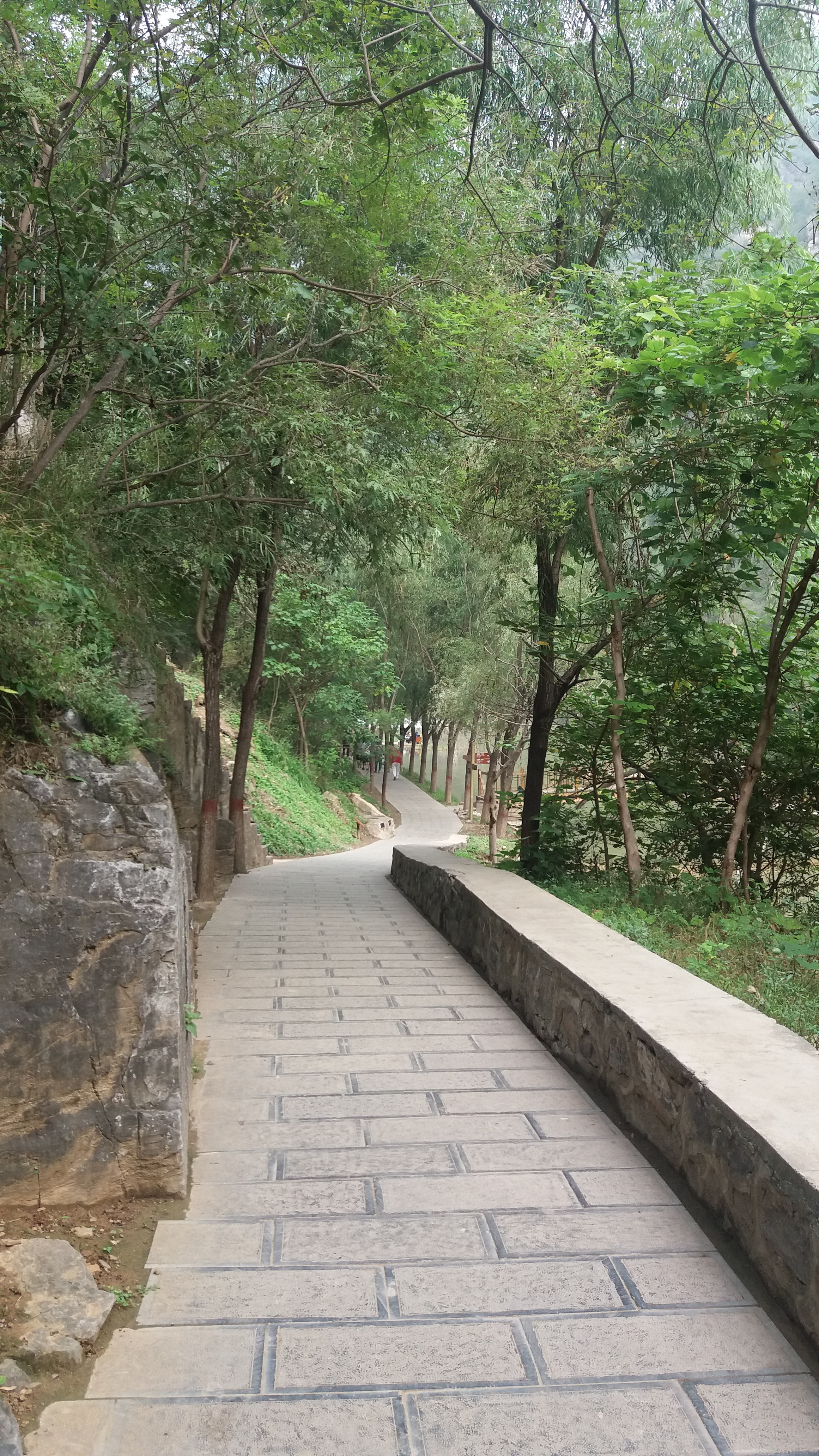 青山绿水船景区,焦作市博爱县青天河旅游景点