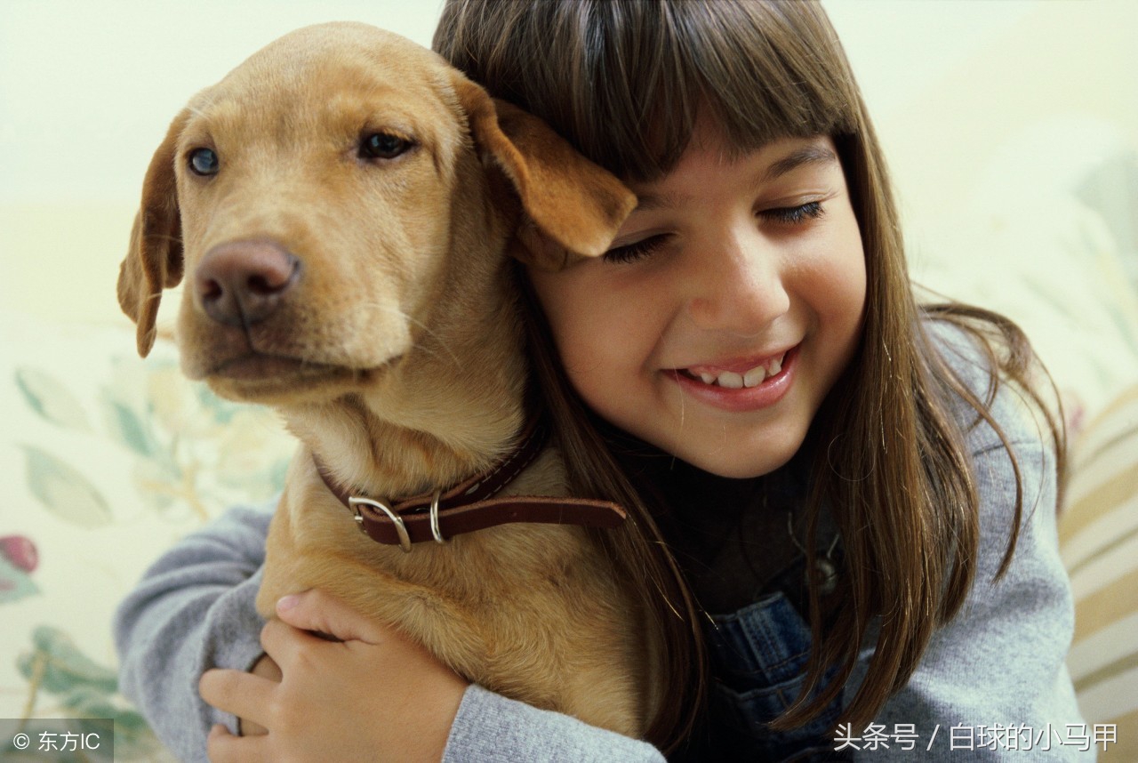 妈妈拒绝你养宠物怎么办,妈妈拒绝养宠物的理由
