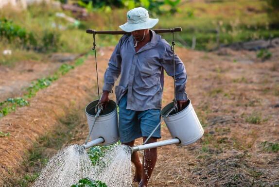 年底讨要工资老板不给怎么办,私人老板拖欠工资没合同怎么讨要