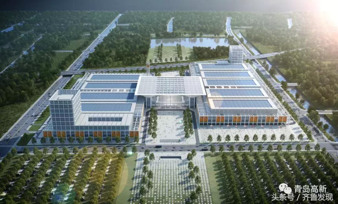 住在南海小岛上是一种怎样的体验,住在红岛的真实感受