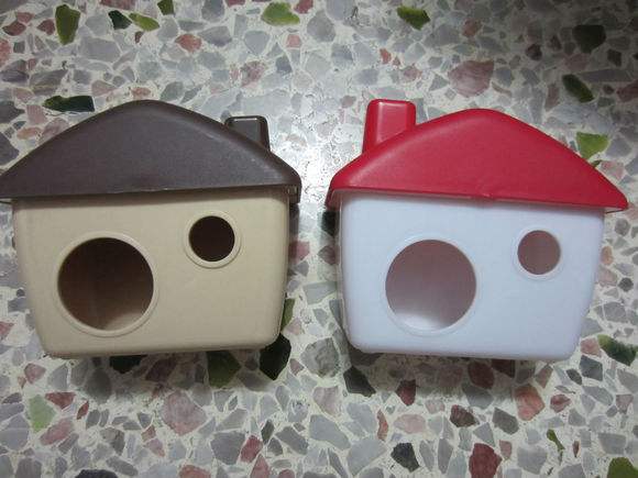 仓鼠可爱瞬间把人萌得要命,仓鼠萌到可以多可爱