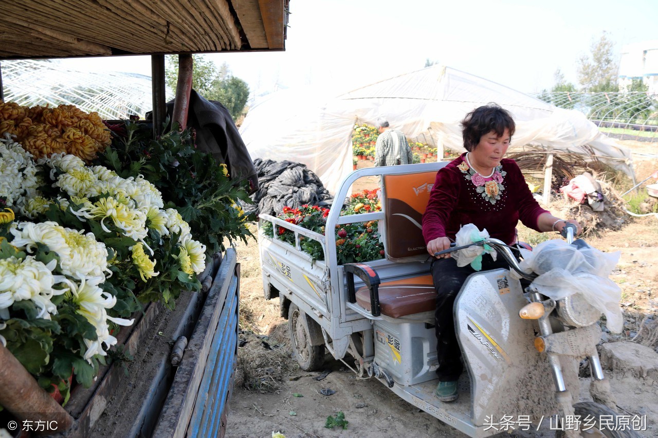 致富经90后小伙的财富秘笈,致富经让年轻人快速倾家荡产