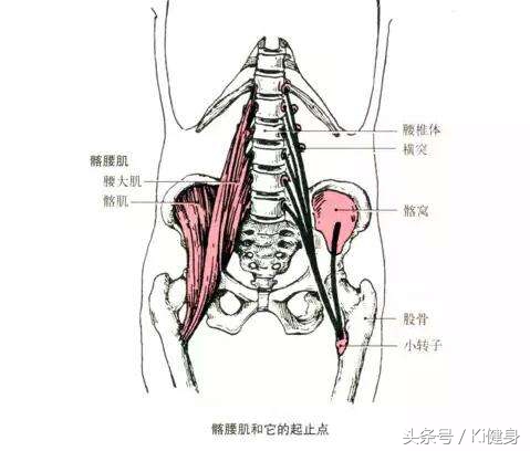 kiki健身徒手背部训练,kiki健身一套动作练全身