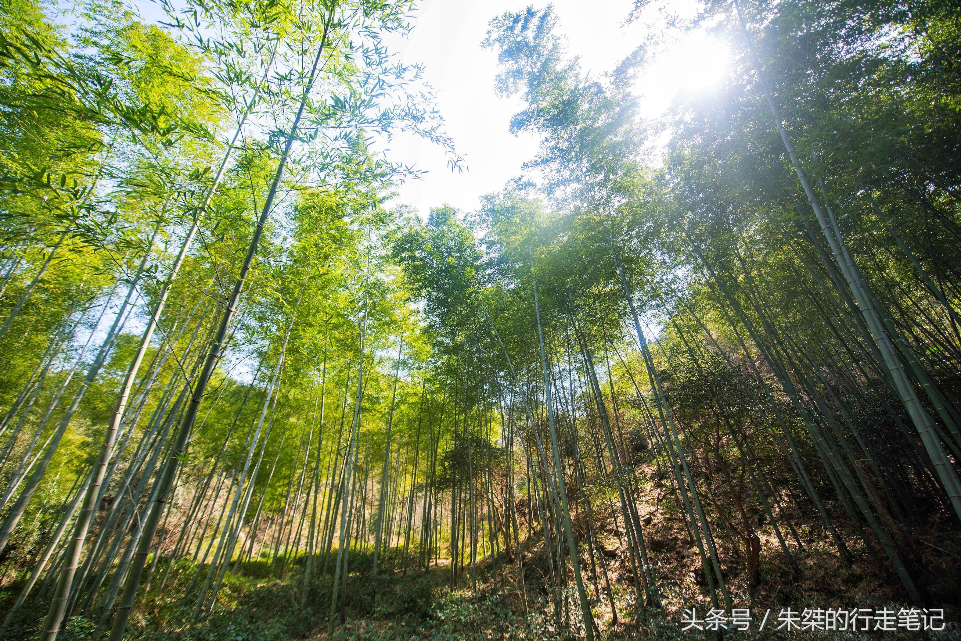 六安宝藏景点,安徽六安九寨沟风景