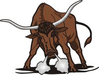 属牛的人晚年和婚姻运势,属牛运势最好的是哪几年