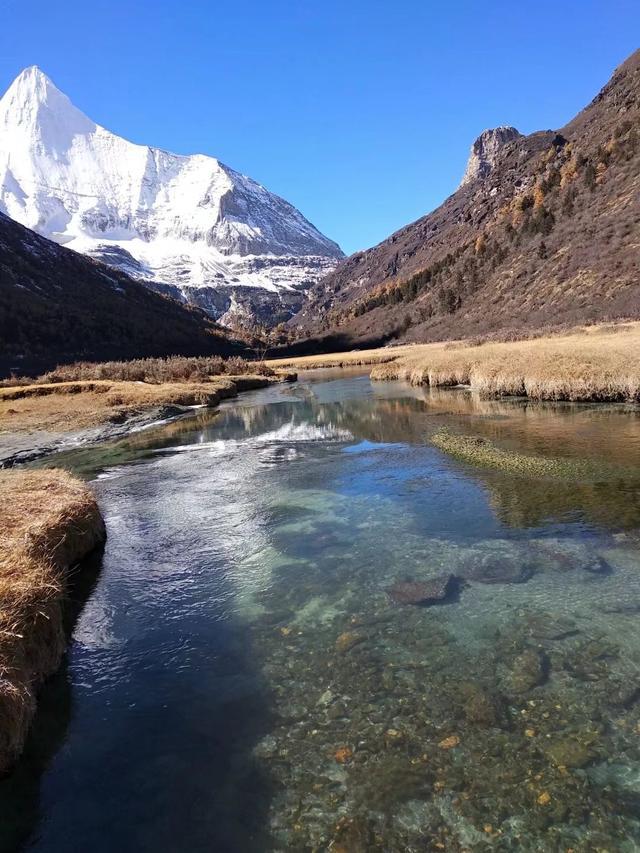 从稻城亚丁回重庆开车推荐路线,重庆到稻城亚丁开什么车最好