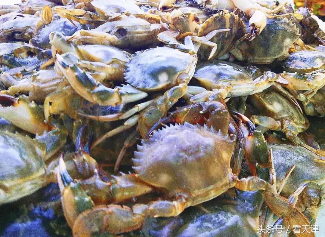 天津吃纯海鲜的最佳去处,天津必吃的海鲜
