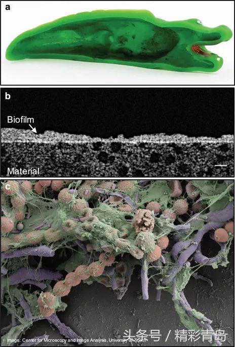 家长速看!可怕!洗澡鸭肚子里竟然这么脏!看完只想全部丢掉!