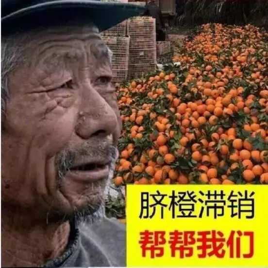 绘画中的一切都是假的,创意绘画是不是骗人的
