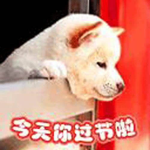 感谢愚人的话语,愚人节骗人问候语短信