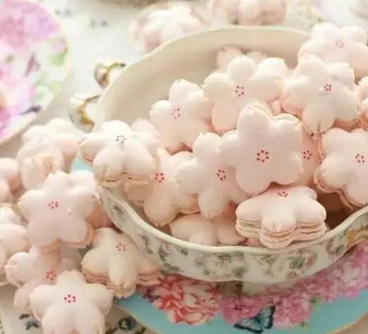 樱花美食一览表,樱花诱人的美食