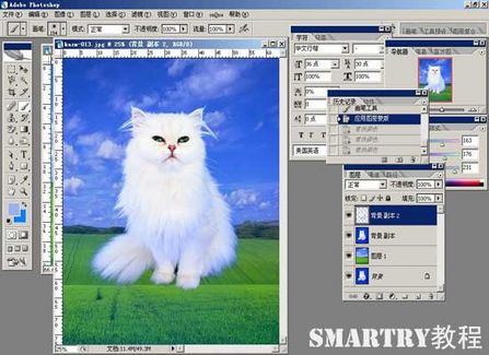 抠图抠不干净ps用哪个工具,ps抠图和ai抠图区别