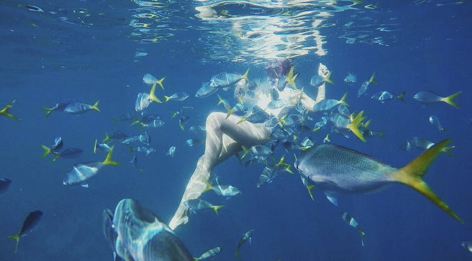 帕劳陆地环岛游,帕劳深度游玩攻略