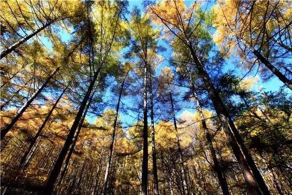 瀵逛笉璧锋垜鍔濅綘鍒潵骞垮窞,瀵逛笉璧锋垜鍔濅綘鍒潵娣卞湷